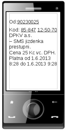 Vzor jízdenky